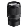 Sigma 16-300mm f3.5-6.7 DC OS (C)-Detail1