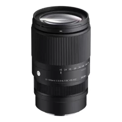 Sigma 16-300mm f3.5-6.7 DC OS (C)-Detail1