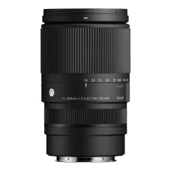 Sigma 16-300mm f3.5-6.7 DC OS (C)-Detail2