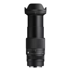 Sigma 16-300mm f3.5-6.7 DC OS (C)-Detail5