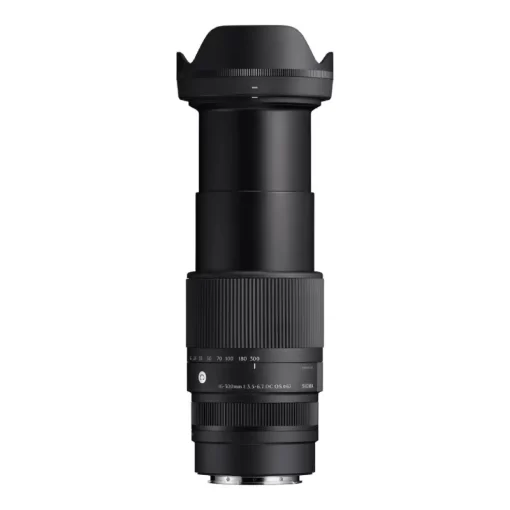 Sigma 16-300mm f3.5-6.7 DC OS (C)-Detail5