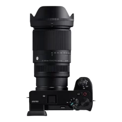 Sigma 16-300mm f3.5-6.7 DC OS (C)-Detail6