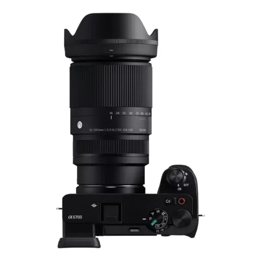Sigma 16-300mm f3.5-6.7 DC OS (C)-Detail6