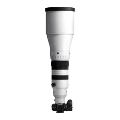 Sigma 300-600mm f4 DG OS (S)-Detail10