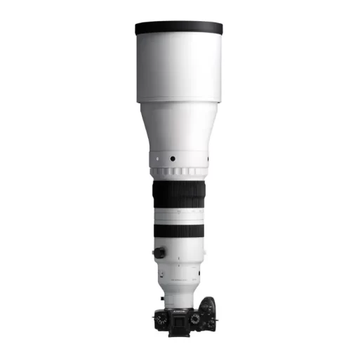 Sigma 300-600mm f4 DG OS (S)-Detail10