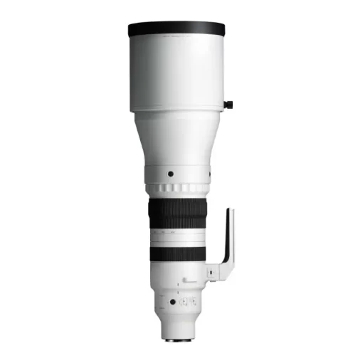 Sigma 300-600mm f4 DG OS (S)-Detail4