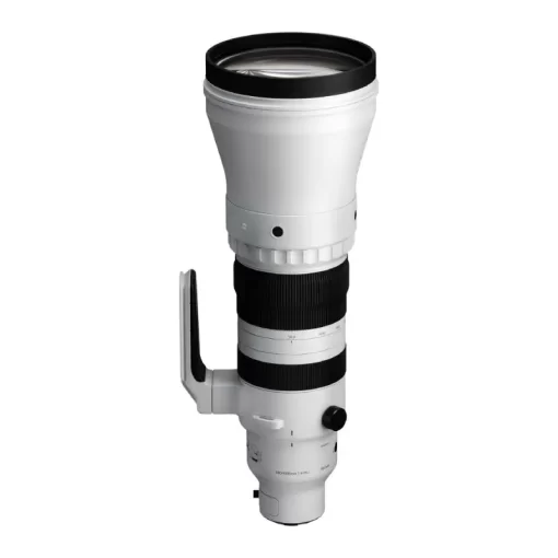 Sigma 300-600mm f4 DG OS (S)-Detail5