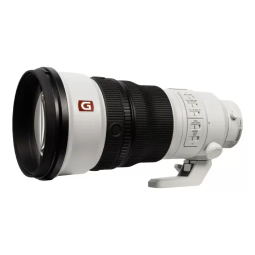 Sony FE 300mm f-2.8 GM OSS-Detail1