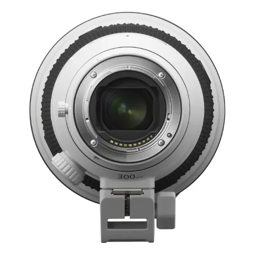 Sony FE 300mm f-2.8 GM OSS-Detail5