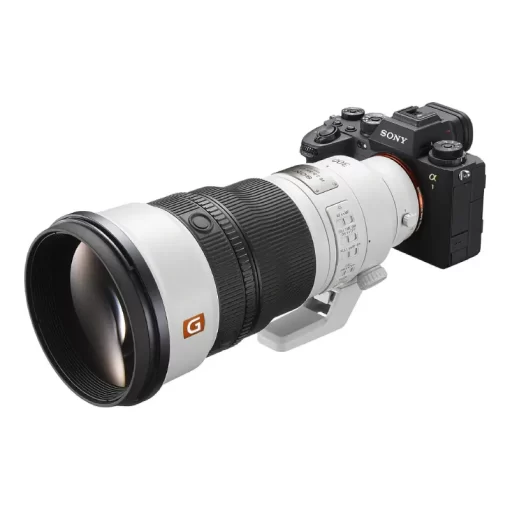 Sony FE 300mm f-2.8 GM OSS-Detail7