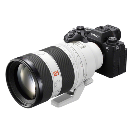 Sony FE 50-150mm f2 GM-Detail9